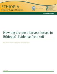 Icon image How big are post-harvest losses in Ethiopia?: Evidence from teff