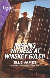 Icon image Missing Witness at Whiskey Gulch