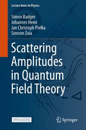 Icon image Scattering Amplitudes in Quantum Field Theory
