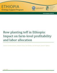 Icon image Row planting teff in Ethiopia: Impact on farm-level profitability and labor allocation
