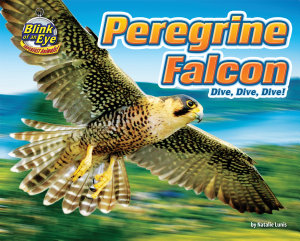 Icon image Peregrine Falcon: Dive, Dive, Dive!