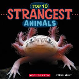 Icon image Strangest Animals (Wild World: Top 10)