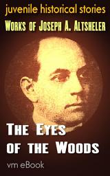 Icon image The Eyes of the Woods: juvenile historical stories