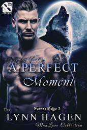 Icon image A Perfect Moment (Fever's Edge 3)