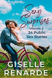 Icon image Sexy Surprises Volume 2: 24 Public Sex Stories