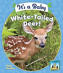 Icon image It's a Baby White-Tailed Deer