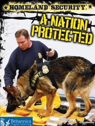 Icon image Homeland Security: A Nation Protected