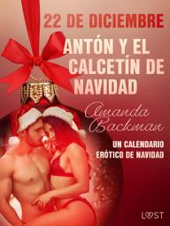 Icon image 22 de diciembre: Antón y el calcetín de Navidad - un calendario erótico de Navidad: Volumen 22
