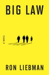 Icon image Big Law: A Novel