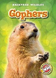 Icon image Gophers