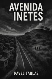 Icon image Avenida Inetes: Surviving the Margins of Suburban Mexico