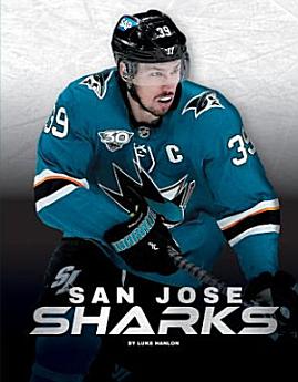 Icon image