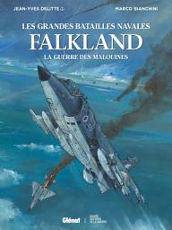 Icon image Falkland: La Guerre des Malouines