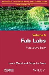 Icon image Fab Labs: Innovative User