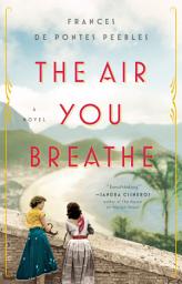 Icon image The Air You Breathe: A Novel