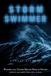 Icon image Storm Swimmer