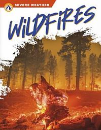 Icon image Wildfires