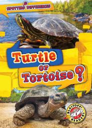 Icon image Turtle or Tortoise?