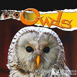 Icon image Owls