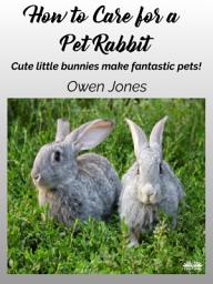 Icon image How to care for a pet rabbit: Cute little bunnies make fantastic pets!