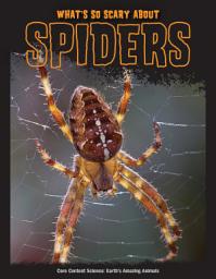 Icon image What's So Scary about Spiders?