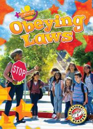 Icon image Obeying Laws