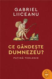 Icon image Ce gandeste Dumnezeu?: Putina teologie