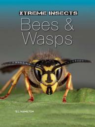 Icon image Bees & Wasps