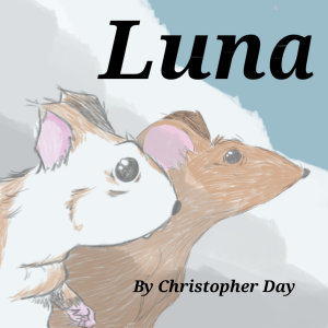 Icon image