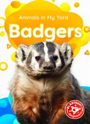 Icon image Badgers
