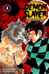 Icon image Demon Slayer: Kimetsu no Yaiba, Vol. 4