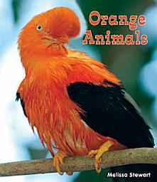 Icon image Orange Animals