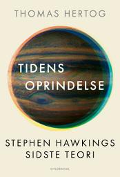 Icon image Tidens oprindelse: Stephen Hawkings sidste teori