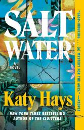 Icon image Saltwater: A Novel
