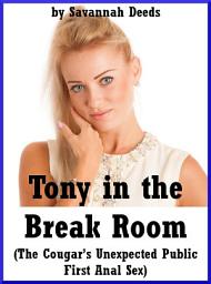 Icon image Tony in the Break Room: An Explicit Office Romance Story