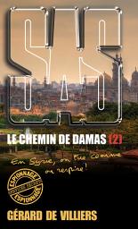 Icon image SAS 194 Le chemin de Damas T2: En Syrie, on tue comme on respire !