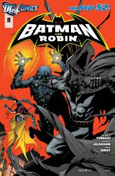 Icon image Batman and Robin (2011)