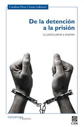 Icon image De la detención a la prisión: La justicia penal a examen