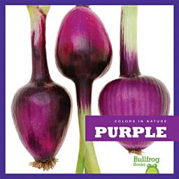 Icon image Purple