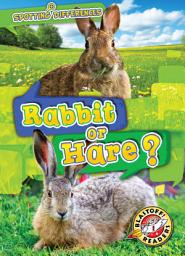 Icon image Rabbit or Hare?