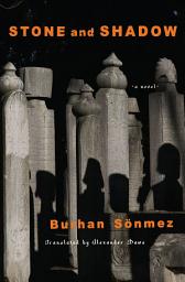 Icon image Stone and Shadow: A Novel
