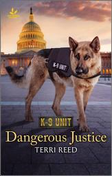 Icon image Dangerous Justice