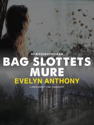 Icon image Bag slottets mure