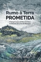 Icon image Rumo a Terra Prometida: A Peregrinação do Povo de Deus no Deserto no Livro de Números