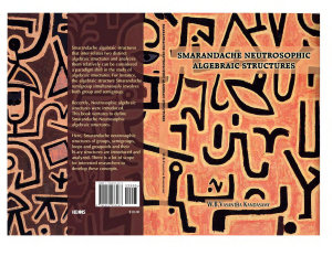 Icon image Smarandache Neutrosophic Algebraic Structures