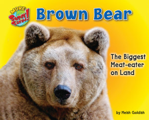 Icon image Brown Bear: The Biggest Meat-eater on Land
