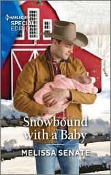 Icon image Snowbound with a Baby