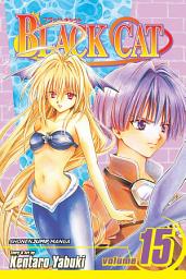 Icon image Black Cat: Eve of Battle