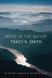 Icon image Wade in the Water: Poems