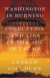 Icon image Washington Is Burning: Corruption and Lies in The Age of Trump